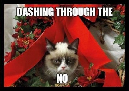 dashing-through-the-no.jpg