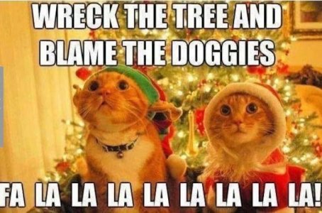 blamethedoggies.jpg