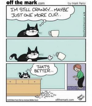 crankycup.jpg