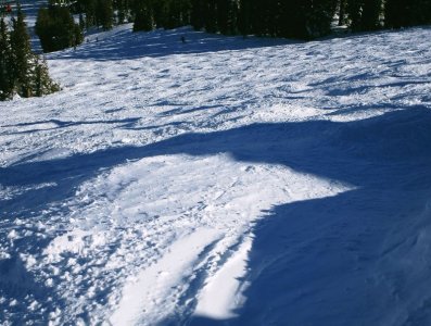 cc_8387.jpg