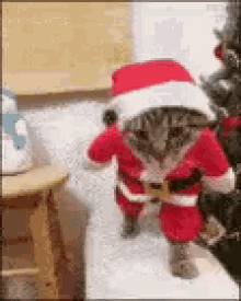 santa-cats.gif