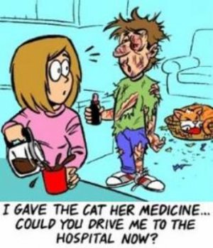 cat medicine to hosp.jpg