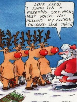 santa pulling sleigh.jpg