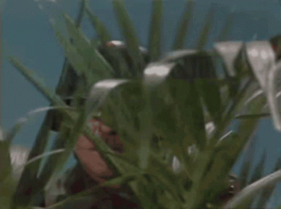 D3D1B4B9-157E-4B20-B485-0068A5974153.gif