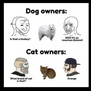 humor.jpg