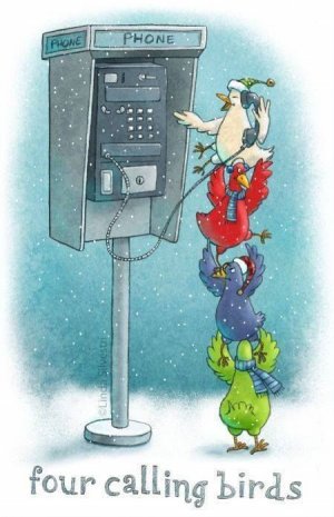 Calling birds.jpg