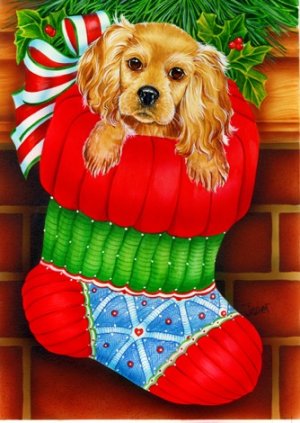 xmas surprise.jpg