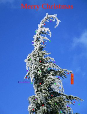 Christmas-2021-mh.jpg