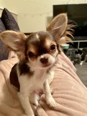 D55C3AE2-A50E-48C9-8E82-3490D20FC0D0.jpeg D55C3AE2-A50E-48C9-8E82-3490D20FC0D0.jpeg