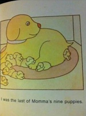 external-content.duckduckgo.com.jpg