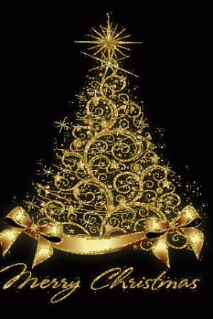 1640264738121.gif