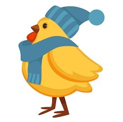chicken.jpg