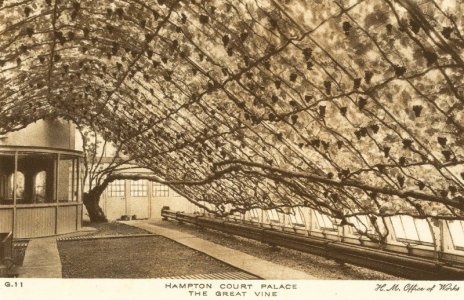 #17B  Trellis Bracing.jpg