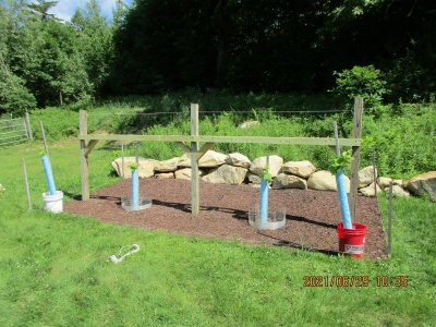 #17C Trailis Bracingbracing.JPG