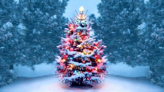 snow covered tree .jpg