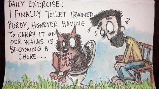 daily exercise.jpg