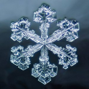 snowflake+photography+sample+1-2.jpg