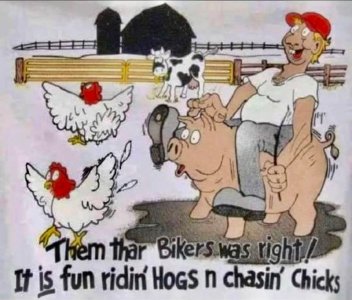 ride a hog.jpg
