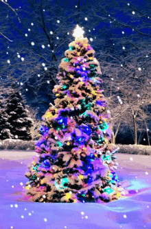 christmas-snow.gif