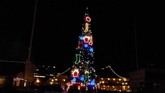 old town xmas tree 2021.jpg