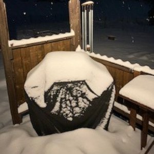 back deck.jpg