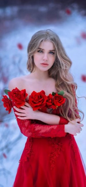 christmas morn flowers 4 fb.jpg