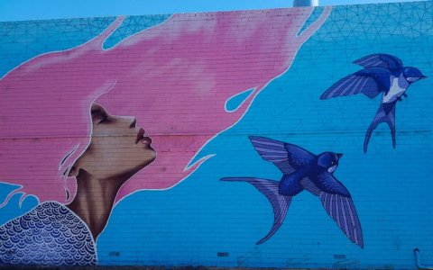 lesterlost-travel-australia-western-australia-walking-tour-perth-street-art-leederville-pink-s...jpg