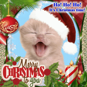 merryxmaskittygif.gif