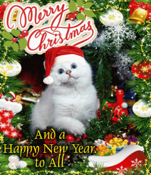 xmas.newyear.kitty.gif