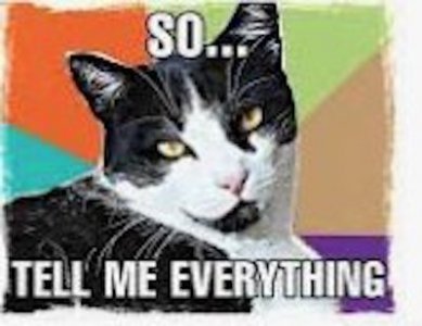 cat tell me'.jpg