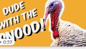 2021-12-26 15.19.57 .jpg