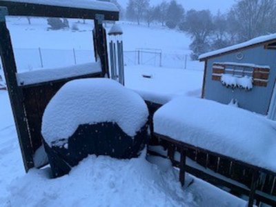 back deck.jpg back deck.jpg