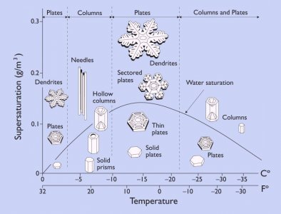 Snow types.1.jpg