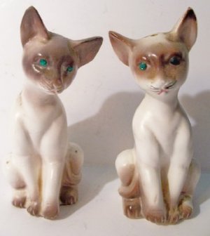 Siamese cats1a.jpg