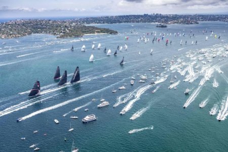 yachts.jpg