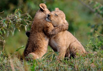 hug (1).jpg