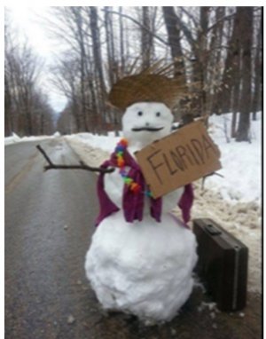 snow.jpg
