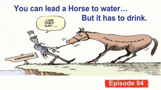 Horse to water.3.jpg