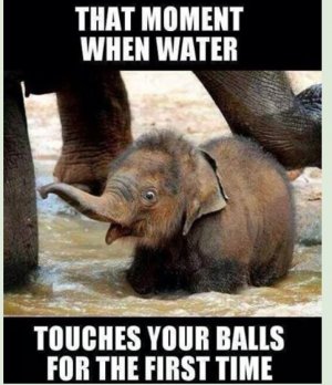 balls.jpg