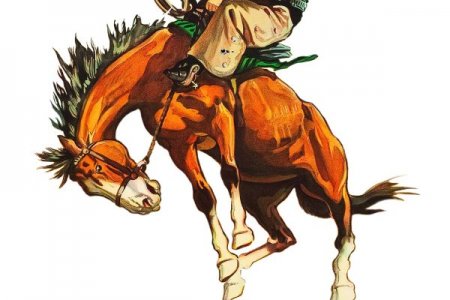 6Whiskey-Co.-4a-Cowboy.com_-600x400.jpg