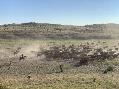marfa meats.jpg