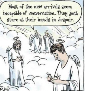 new arrivals.jpg