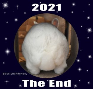 2021.jpg