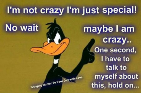 crazy.jpg