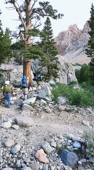HumpB_trail.jpg