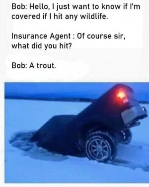Trout.jpg