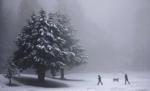 california2.jpg