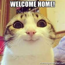 cat gome.jpg