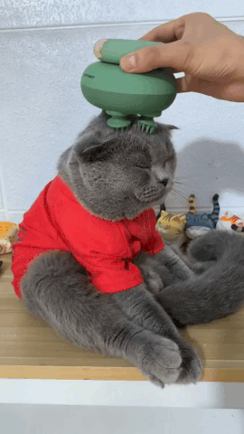 fe3cd9af1282bb3e51e31739d18b1ab6[1].gif