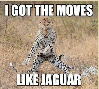 spots.jpg